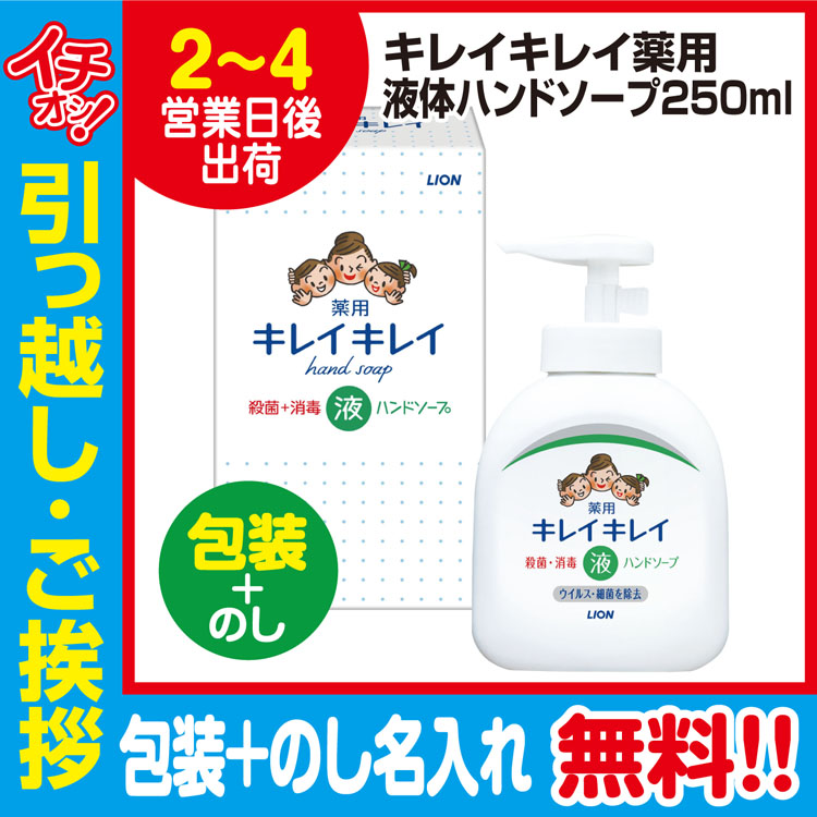 ライオンキレイキレイ液体ハンドソープ本体250ml（包装+のし）