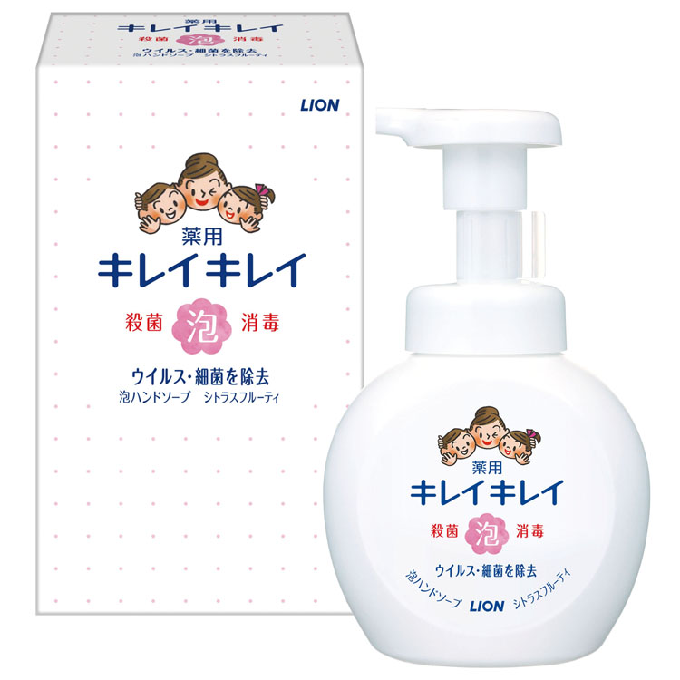 ライオンキレイキレイ泡ハンドソープ本体250ml（のし+手提げ紙袋付）
