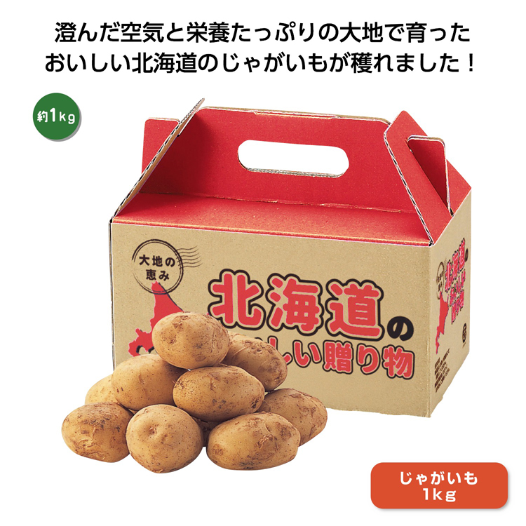 大地の恵み 北海道産じゃがいも１ｋｇ